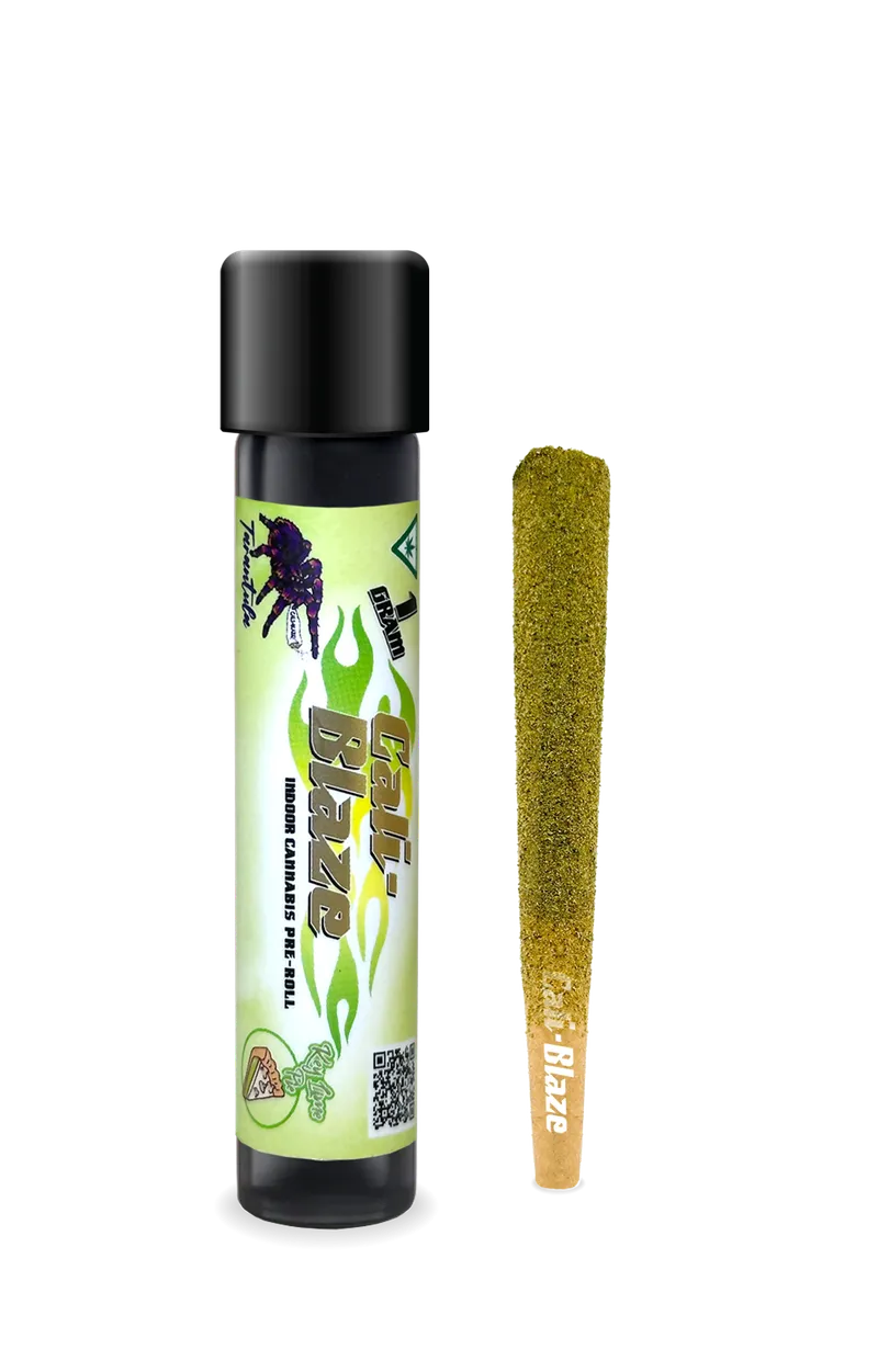 1g Tarantula Key Lime Pie